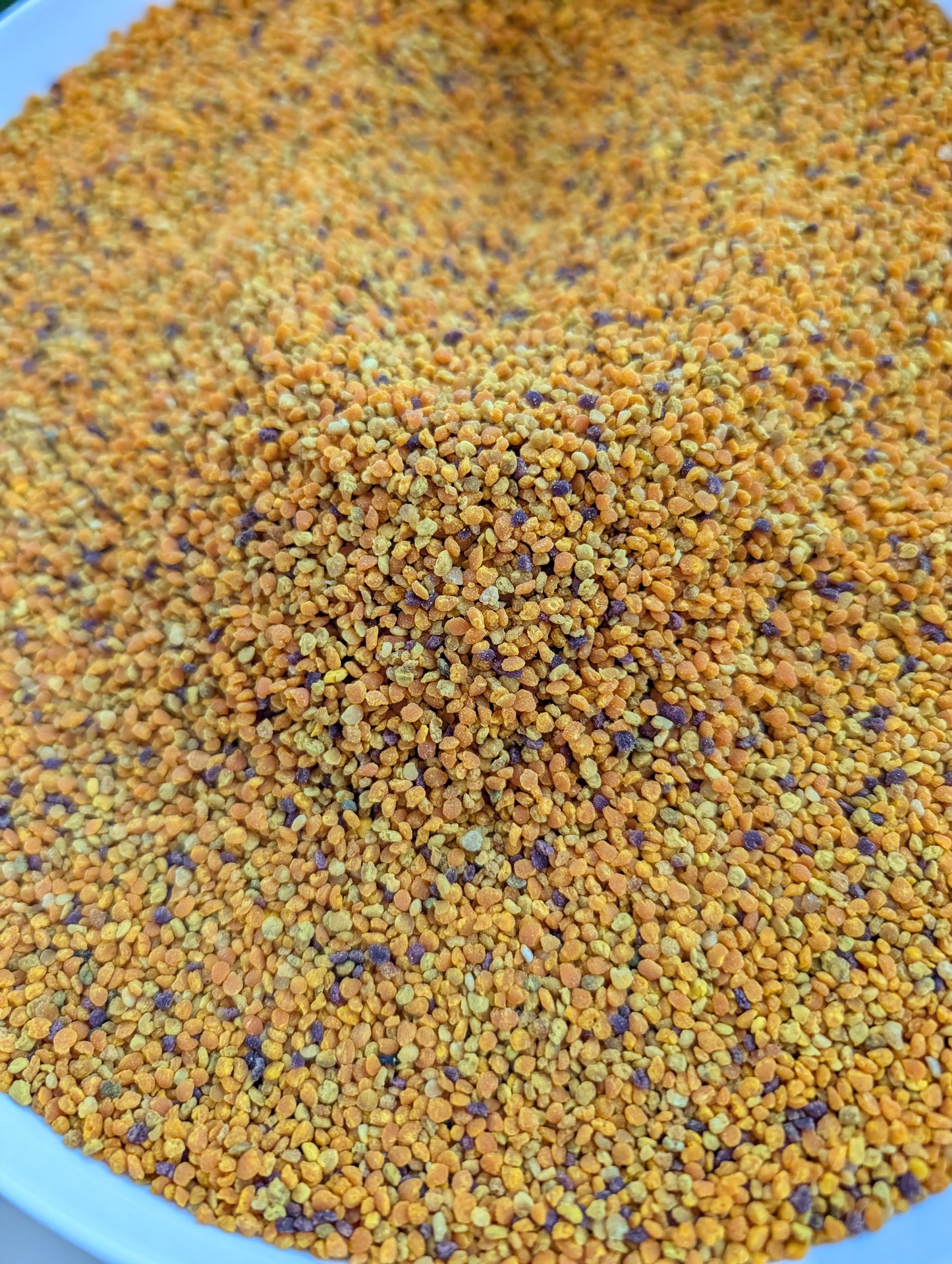 Nederlandse bijenpollen 150 gram